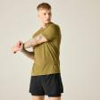 Pánské triko Dare2B PERSIST TEE martini olive