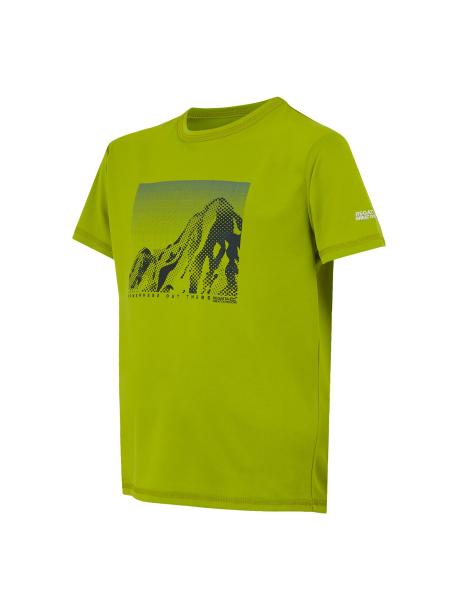     Dětské triko Regatta ALVARADO IX grenoble greeen