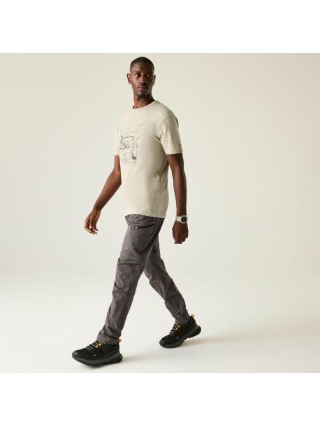     Pánské triko Dare2B MOVEMENT III TEE abbeystone