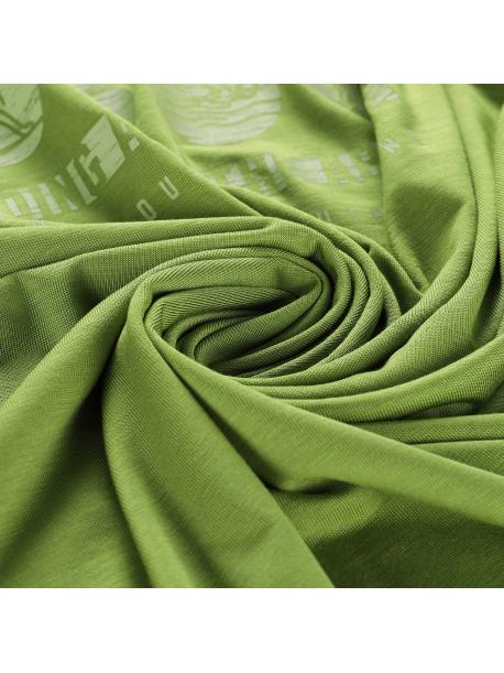     Pánské triko Alpine pro LYOR peridot