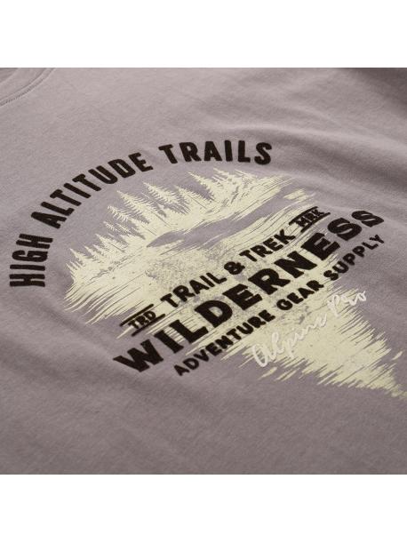     Pánské triko Alpine pro DOMEN driftwood