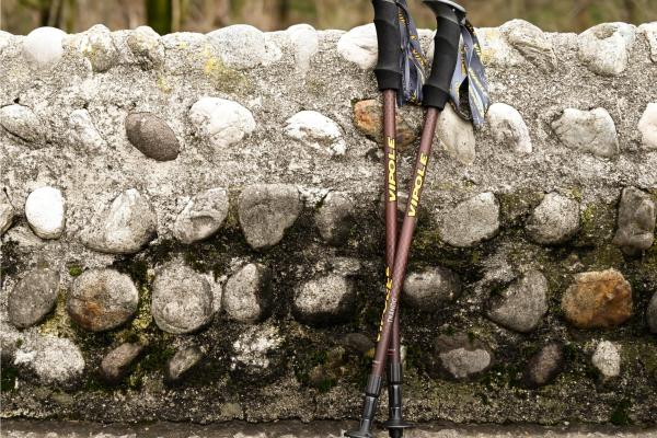 Jaký je rozdíl mezi trekovými holemi a holemi na nordic walking ? 